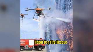 Cane robot per missioni di soccorso antincendio